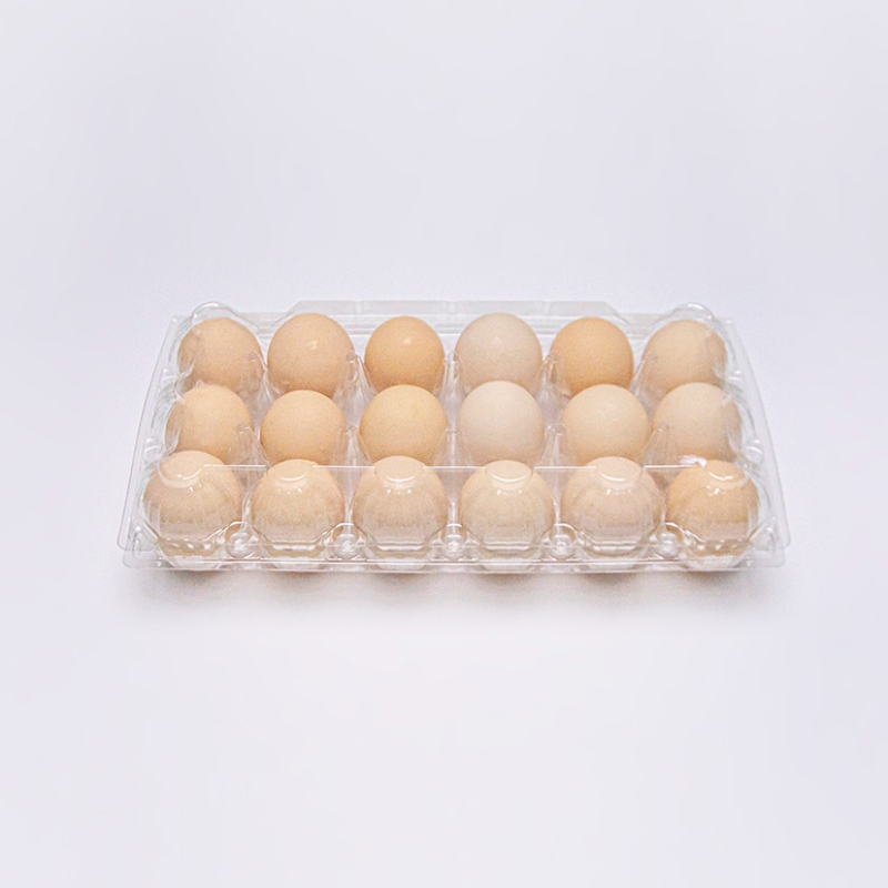 Imballaggio con blister per uova